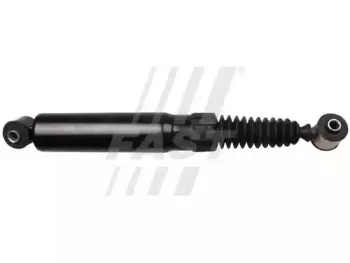 FT11174 FAST