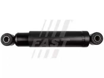 FT11273 FAST