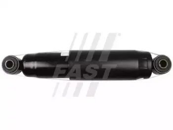 FT11287 FAST