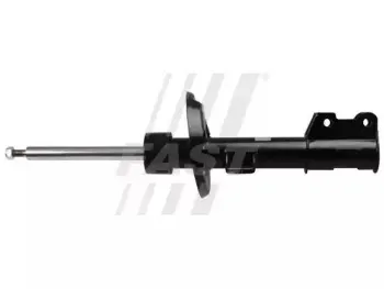 FT11289 FAST Амортизатор