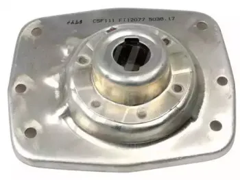 FT12077 FAST