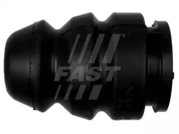 FT12172 FAST