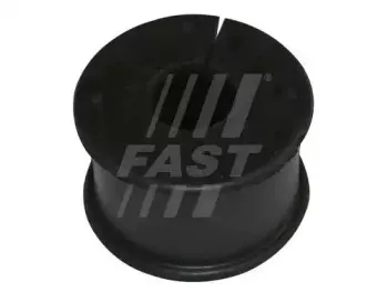 FT18134 FAST