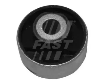 FT18309 FAST Подвеска, рычаг независимой подвески колеса