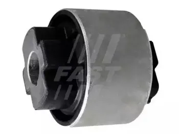 FT18384 FAST