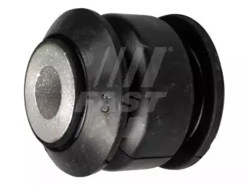 FT18385 FAST
