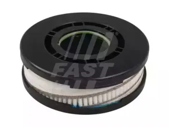 FT38076 FAST Фильтр, система вентиляции картера