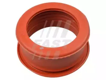 FT61773 FAST Трубка нагнетаемого воздуха