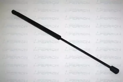 ferron-107