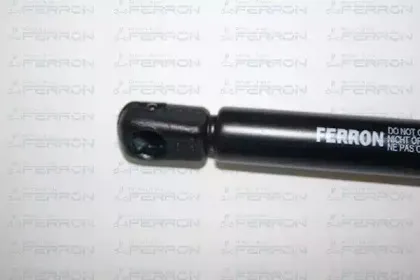 ferron-107