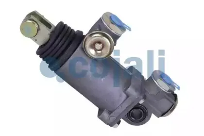 cojali-2202100