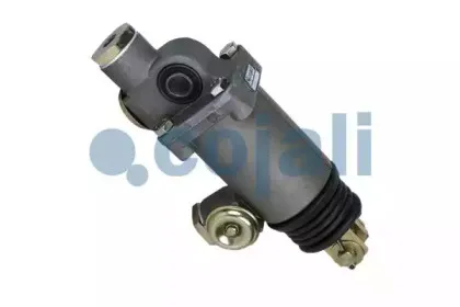 cojali-2202102