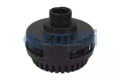 cojali-2203101