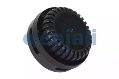 cojali-2203101