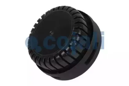 cojali-2203103