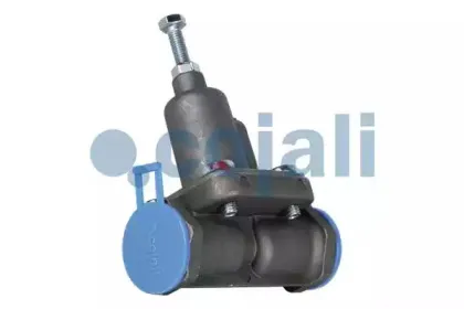 cojali-2206137