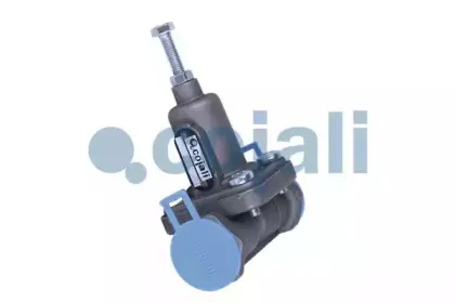 cojali-2206141