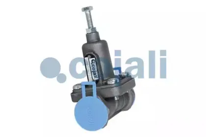 cojali-2206156