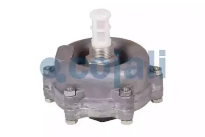 cojali-2208401
