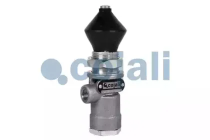 cojali-2213201
