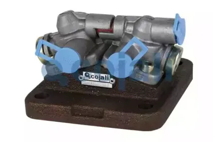 cojali-2216100