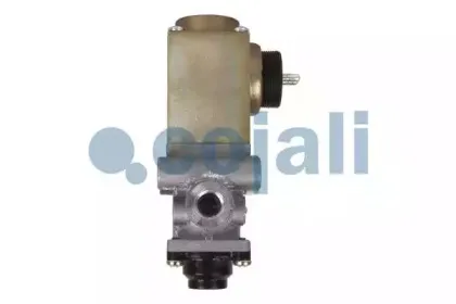 cojali-2218204