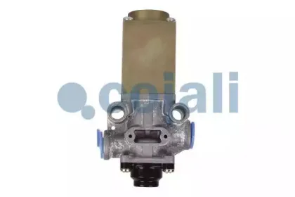 cojali-2218204