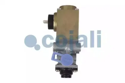 cojali-2218204