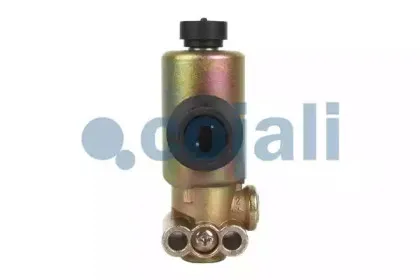 cojali-2218210