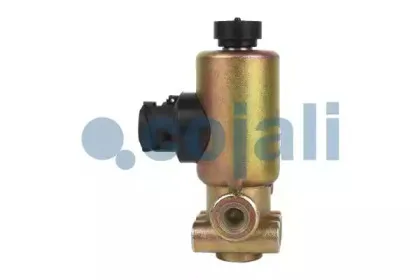 cojali-2218210