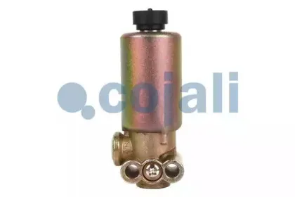 cojali-2218210