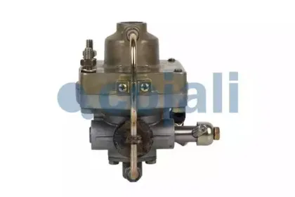 cojali-2220207