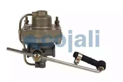 cojali-2220207