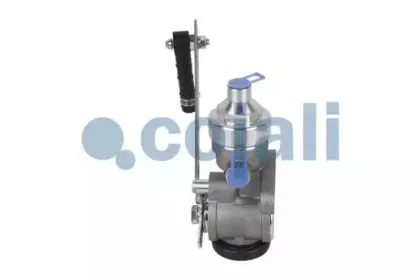 cojali-2220209