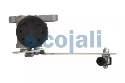 cojali-2220209