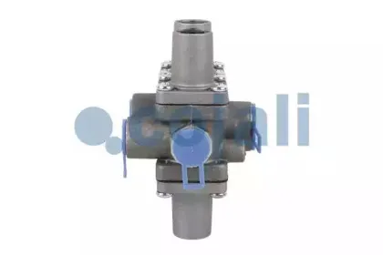 cojali-2222237