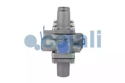 cojali-2222245