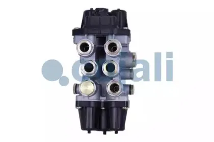 cojali-2222303