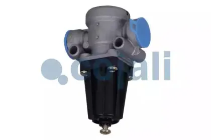 cojali-2223152