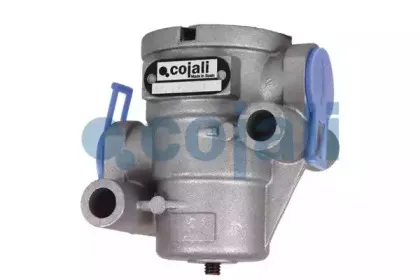 cojali-2223234