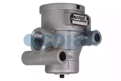 cojali-2223234