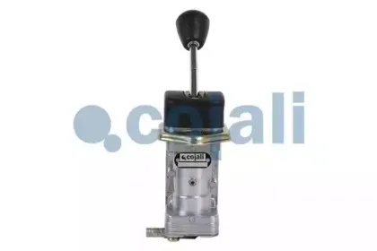 cojali-2224321