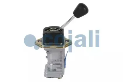 cojali-2224321