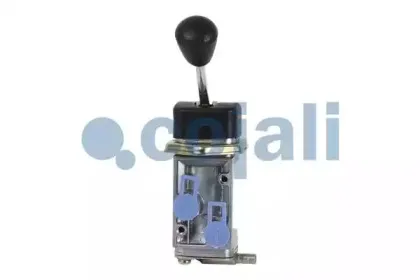 cojali-2224321