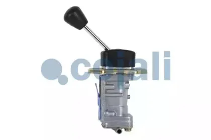 cojali-2224321
