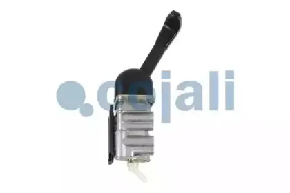 cojali-2224401