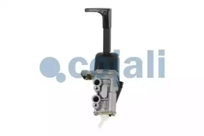 cojali-2224401