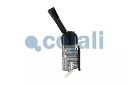 cojali-2224401