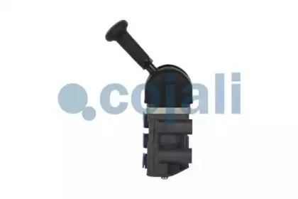 cojali-2224418