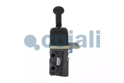 cojali-2224418